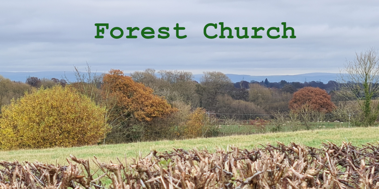 Forest Church | stmarysacton.org